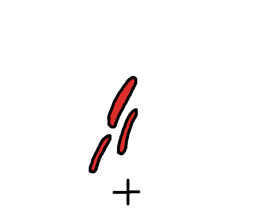 _+_=_ 148